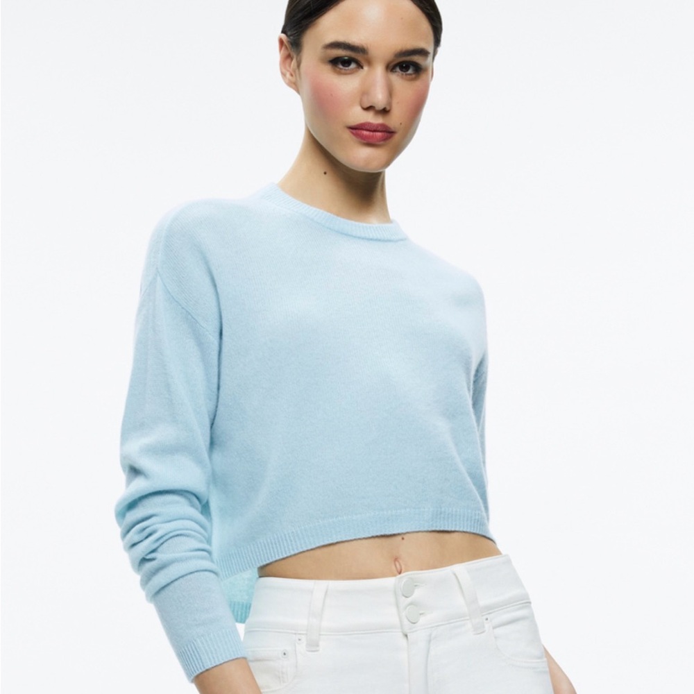 Alice + Olivia SHERRELL CASHMERE CREW NECK PULLOVER - sky blue